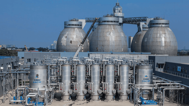 10 years of THP with BDG - Americas