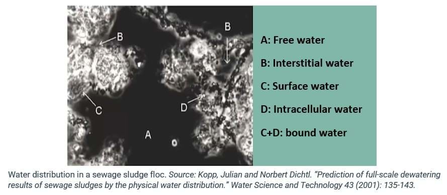 water-distribution in a sewage sludge floc