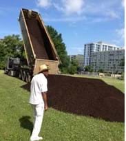 bloom gardener