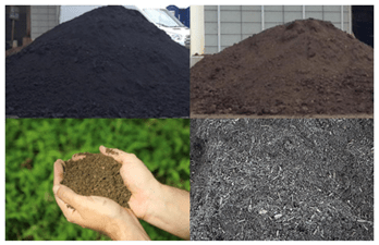 bloom products
