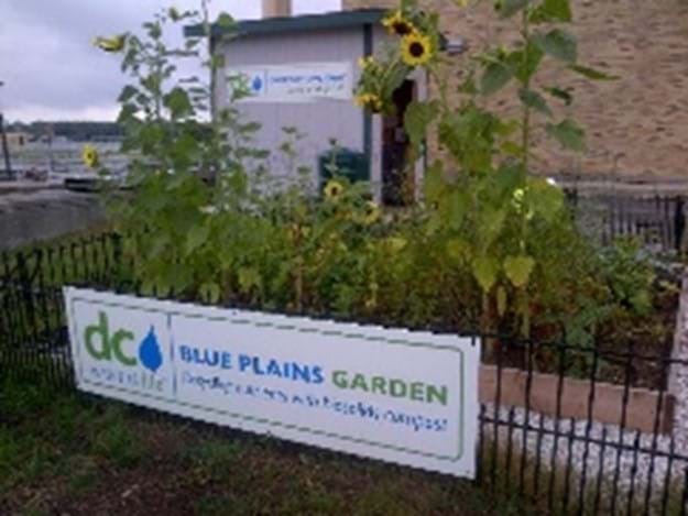 bloom wwtp mini garden