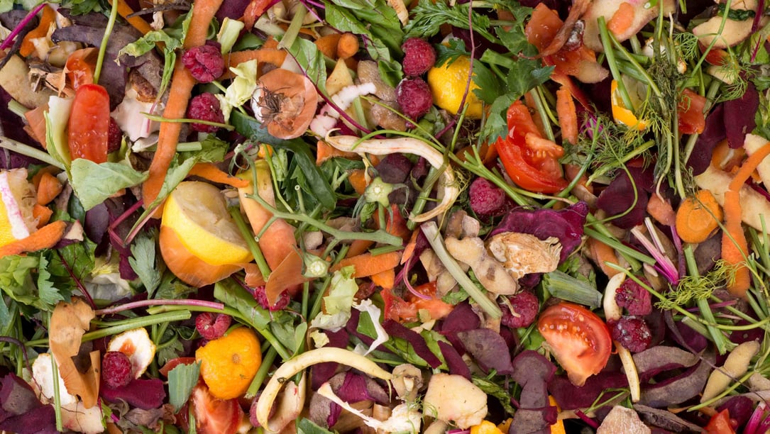 Codigestion: Integrating Organic Waste into Sludge Treatment