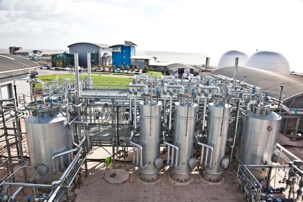 cardiff uk plant view