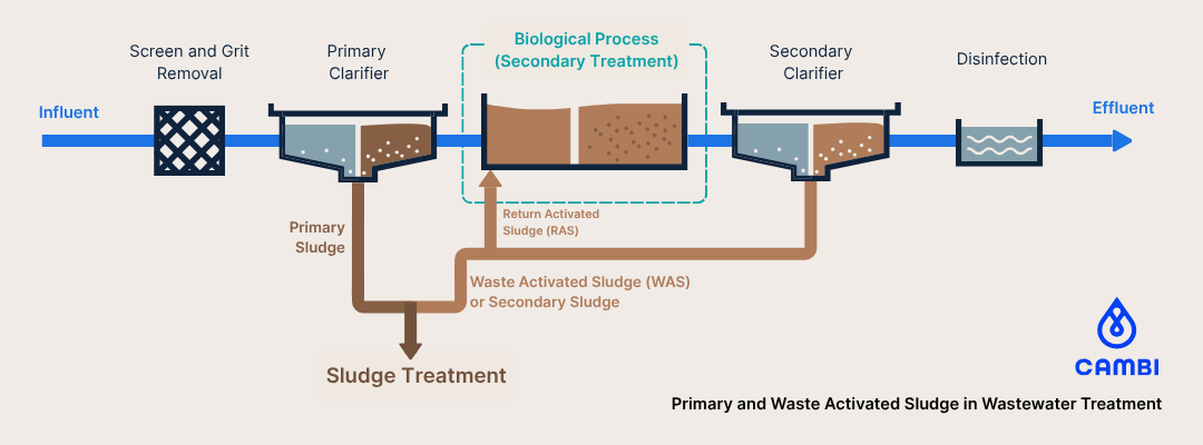 Primary Sludge and Secondary Sludge / Waste Activated Sludge in Wastewater Treatment